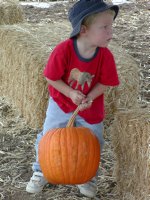 Never lift anything bigger than your head