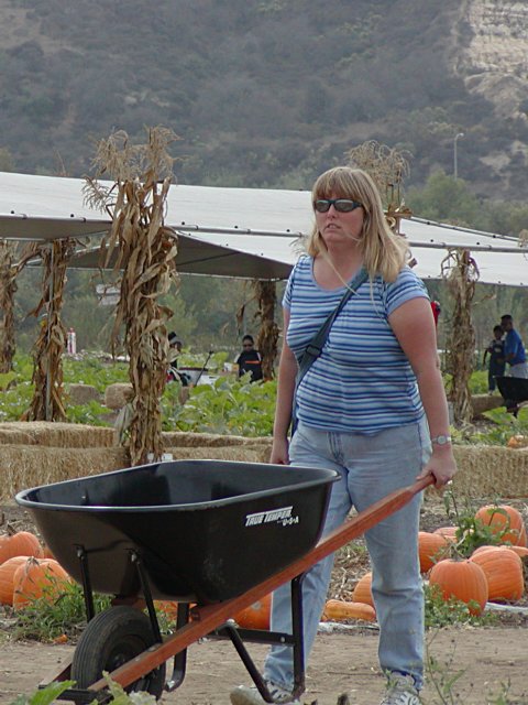 Diana with a wheelbarrow