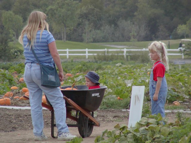Wheelbarrow ride