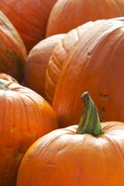Orange Pumpkins