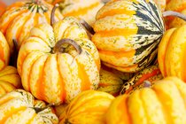 Stripy Pumpkins