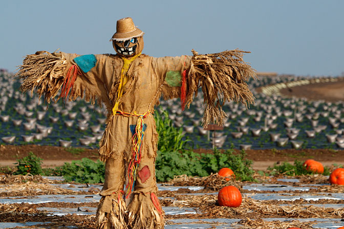 Scarecrow