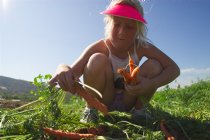 Sara pulls some carrots