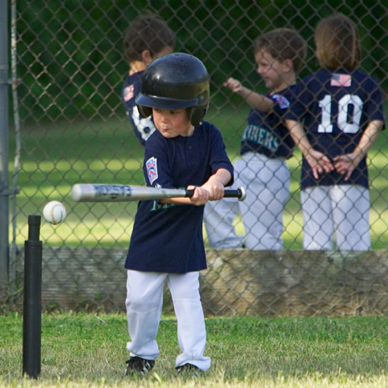 Timothy at bat again