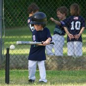 Timothy at bat again