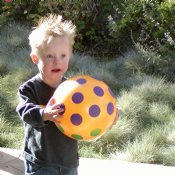 Drake with polka-dot ball