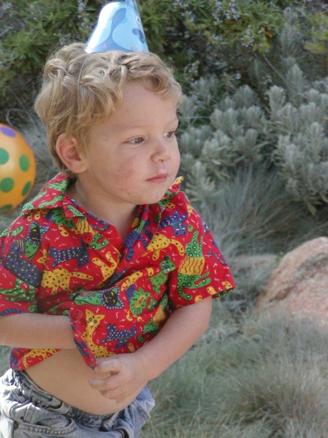 Timothy in a party hat