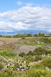 UCI Ecological Preserve