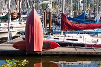 False Creek Harbour, III