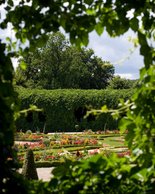 Schönbrunn Palace Grounds