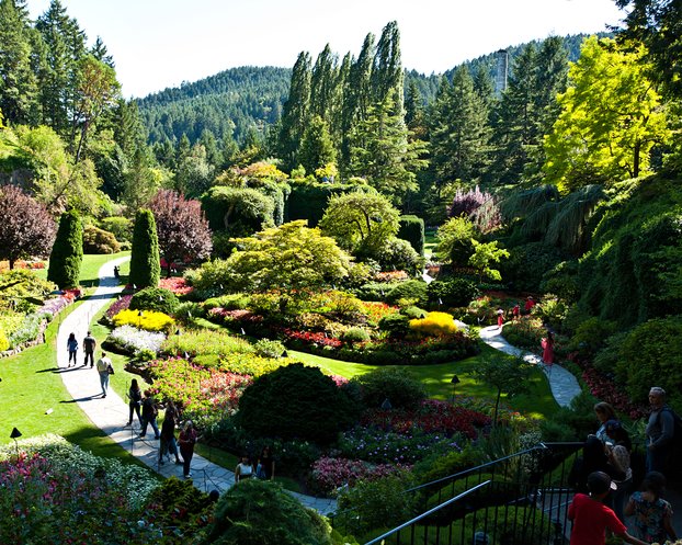 Butchart Gardens, I