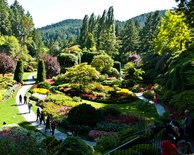 Butchart Gardens, I