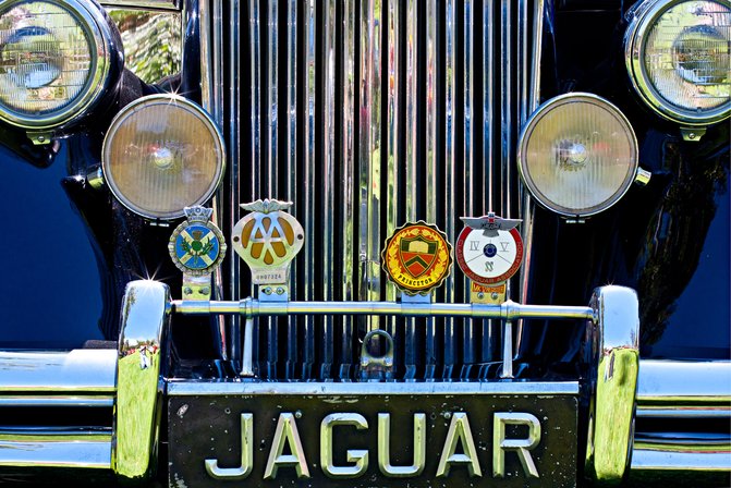 Jag Nose