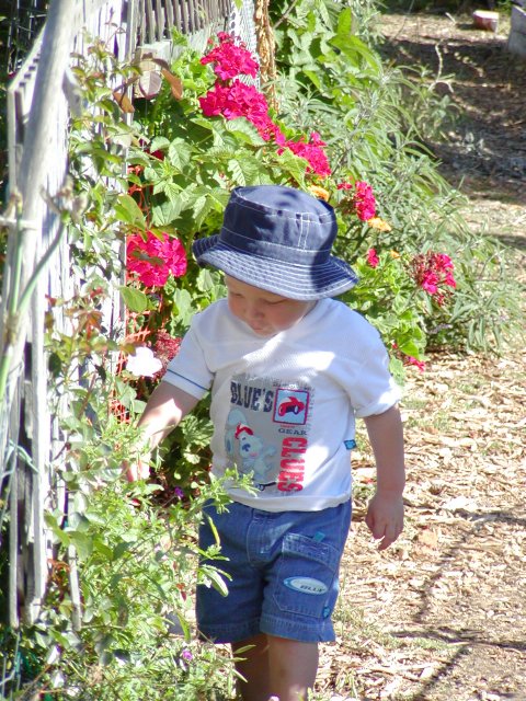 Timothy investigates the flowers