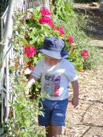 Timothy investigates the flowers