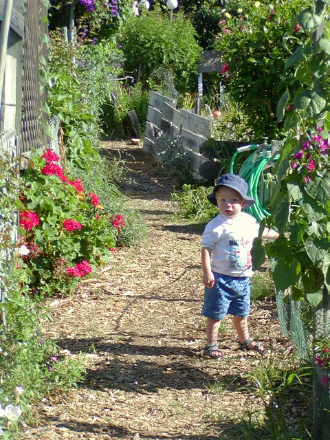 Verano community garden