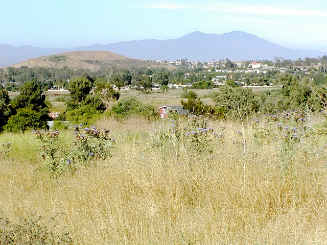 Saddleback Mountain