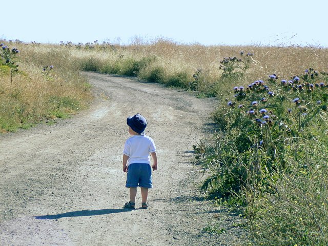 The path to University Hills