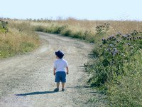 Walking Home from ITC