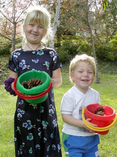 Collecting pine cones