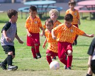 Ryan leads a pack of Zoids