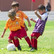 Zoids vs Red Rockets