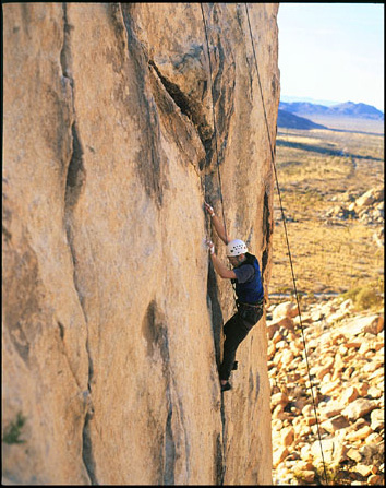 Yuzo at Joshua Tree